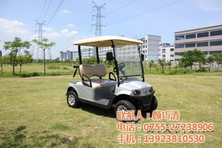 傲虎电动车厂家直销，品质与价格的双重保障