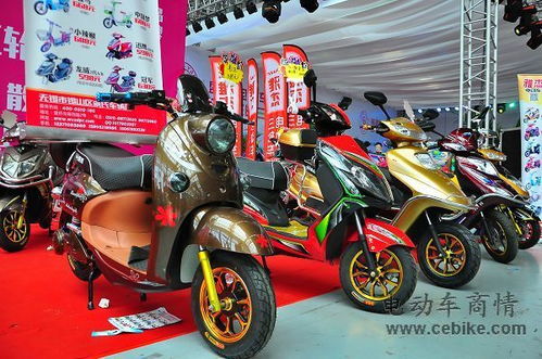 快乐骑行 雅杰相伴 电动车出行的美好体验